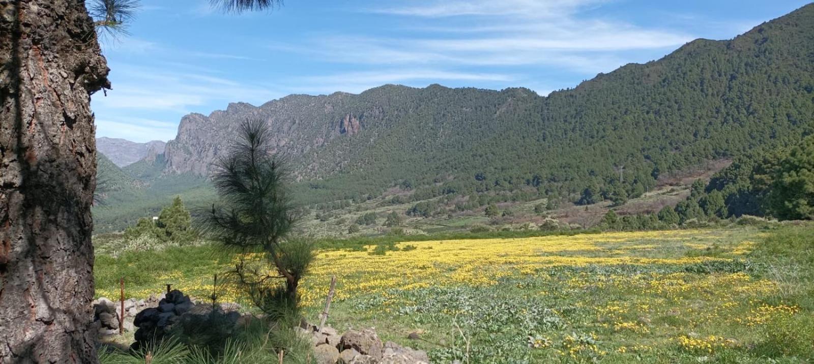 فيلا Casa Lucia Breña Baja المظهر الخارجي الصورة